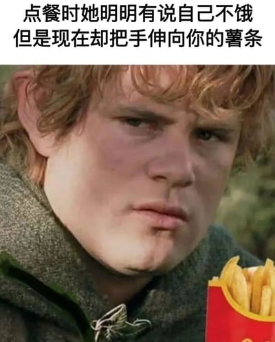 图片上方有文字“点餐时她明明有说自己不饿但是现在却把手伸向你的薯条”，下方是《指环王》电影中角色山姆·甘姆齐的特写镜头，他表情警惕地手持一包麦当劳薯条。这张梗图通过电影角色的严肃表情与日常小事形成反差，幽默地表现了朋友说不饿却想吃你的食物的常见社交场景。