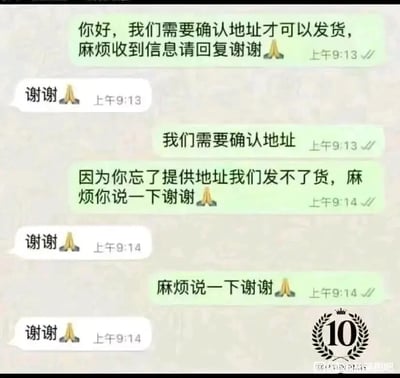 这是一段充满搞笑错位感的聊天记录截图，绿色气泡的客服一方多次向白色气泡的顾客确认收货地址，每次消息末尾都带有“谢谢”和双手合十的表情；而顾客似乎只关注到客服消息里的“谢谢”，完全忽略了核心的地址请求，每次都只回复“谢谢”和同款表情。从9:13到9:14的短时间内，客服反复强调需要地址，顾客却持续循环回复“谢谢”，形成了鸡同鸭讲的搞笑场面，右下角的“10”标识可能是对这段对话搞笑程度的评分，整体内容调侃了沟通中抓错重点的乌龙场景，让人忍俊不禁。