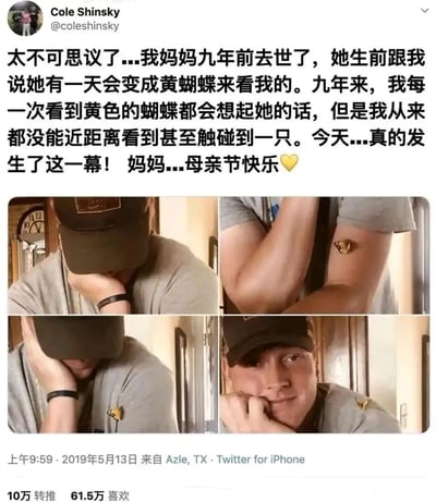 这是一张来自Twitter（现X）的社交媒体截图，发布于2019年5月13日母亲节当天，用户Cole Shinsky分享了自己的暖心经历：九年前母亲离世，生前曾说会化作黄蝴蝶来看望他，九年里他从未近距离接触过黄蝴蝶，而在母亲节这天，一只黄蝴蝶停在了他的身上。截图中包含四张拼接的照片，记录了男子从情绪激动捂脸，到看着黄蝴蝶露出温柔神情的过程，配文充满了对母亲的思念，这条真实的暖心故事获得了10万转推和61.5万点赞，传递出跨越生死的亲情羁绊。