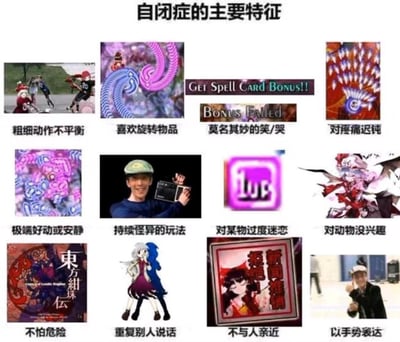 这是一张九宫格形式的玩梗图，标题为「自闭症的主要特征」，每一格都用东方Project的游戏弹幕画面、角色截图、相关玩家梗图，对应一个自闭症的特征描述，比如「喜欢旋转物品」对应东方里的螺旋形弹幕，「对疼痛迟钝」对应被弹幕击中仍坚持游玩的玩家状态，「对某物过度迷恋」对应游戏里的1up道具，「重复别人说话」对应东方角色古明地觉和古明地恋的互动，以此玩东方玩家自嘲的梗，将玩家的游戏习惯和特征对应，整体风格搞笑，无恶意，是东方社群内部的趣味创作。