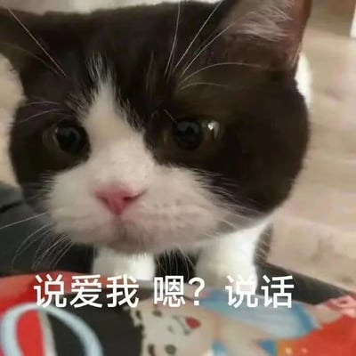 图片中是一只黑白相间的猫咪特写，它有着圆圆的大眼睛，眼神中带着一丝委屈和期待，正直勾勾地盯着前方。图片底部配有文字“说爱我 嗯？说话”，仿佛猫咪在用撒娇的语气要求对方表达爱意，整体画面可爱又充满互动感，适合用于表达亲密关系中的撒娇或期待被关注的情绪。