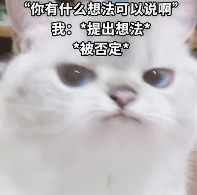 图片为一只白色猫咪的特写，猫咪有着蓝色的眼睛，表情看起来略带困惑和无奈。图片上方叠加了三段文字，分别是“你有什么想法可以说啊”“我: *提出想法*”“*被否定*”，幽默地描绘了日常生活中“被鼓励表达想法却遭否定”的常见场景，猫咪的表情与这种无奈的情境形成呼应，引发共鸣。
