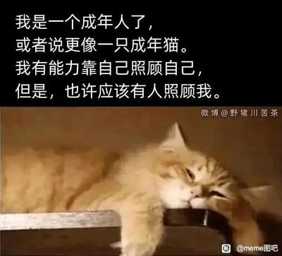暂无描述