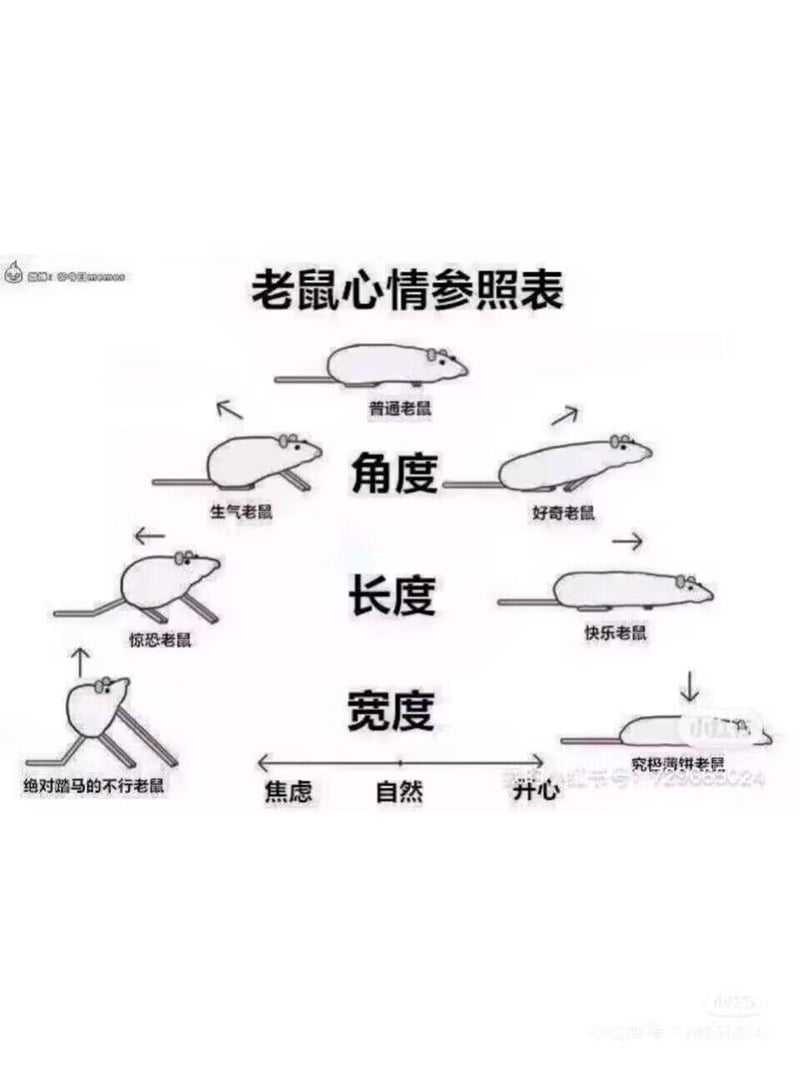 原创卡通梗图