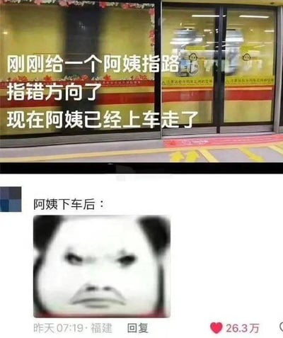 这是一张多图拼接的搞笑梗图，上半部分是地铁站台的实拍照片，配文描述了发布者不小心给一位阿姨指错方向，看着阿姨已经坐上车离开的忐忑场景；下半部分是社交媒体的评论截图，用一张满脸愤怒的熊猫头表情包搭配文字“阿姨下车后：”，脑补出阿姨发现自己被指错路后的愤怒状态。通过前后情境的反差，精准戳中了人们好心办坏事的尴尬心理，制造出强烈的搞笑效果，引发网友共鸣。