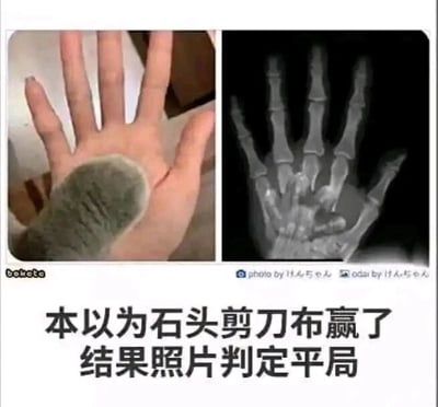 暂无描述