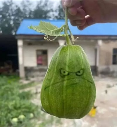 一只手握着一个带藤蔓和叶子的绿色甜瓜，瓜身上被手工雕刻出愤怒的表情——双眼圆瞪、眉头紧锁，表情生动夸张，仿佛在生气。背景是农村场景，可见蓝色屋顶的房屋、模糊的树木和地面的绿色植物，整体画面充满生活气息与创意趣味。