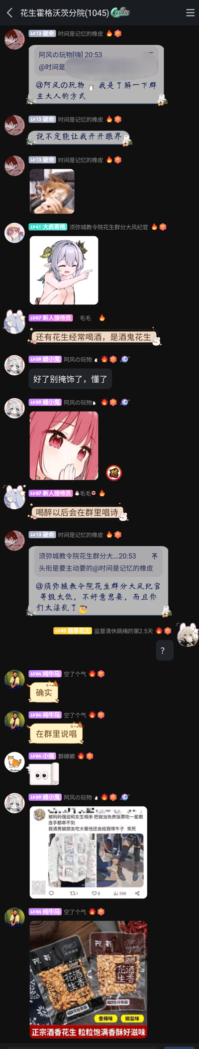 这是一张QQ群“花生霍格沃茨分院(1045)”的聊天记录截图，群内成员正在轻松玩梗闲聊。成员“时间是记忆的橡皮”表示想要了解群主，随后其他成员围绕群内“花生”相关的梗展开互动，比如用“酒鬼花生”调侃群成员爱喝酒，还提到喝醉后会在群里唱诗、说唱；期间成员们发布了多张表情包，包括游戏《原神》角色纳西妲的恶搞图、二次元女生捂嘴图、相亲梗图，以及将“酒鬼花生”包装恶搞为“淫乱花生”的零食图，用谐音梗调侃群氛围，整体群聊氛围轻松诙谐，充满网络趣味互动。