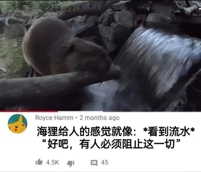 图片上半部分是一只海狸正用身体贴近一根木头，试图阻挡从石块间涌出的水流，画面因水流动感略显模糊；下半部分是社交媒体评论区截图，用户Royce Hamm配文“海狸给人的感觉就像：*看到流水*‘好吧，有人必须阻止这一切’”，通过拟人化手法赋予动物强烈的使命感，营造出幽默反差效果。