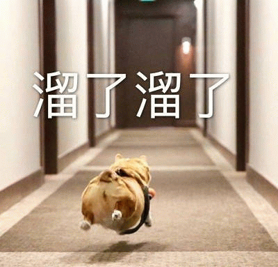 柯基溜了溜了逃跑背影图