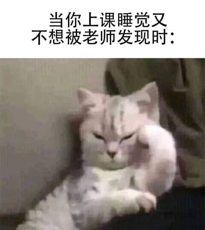 这是一张搞笑 meme，上方配有文字'当你上课睡觉又不想被老师发现时:'，下方是一只看起来昏昏欲睡的猫，形象地表达了学生在课堂上想睡觉又怕被老师发现的心情。