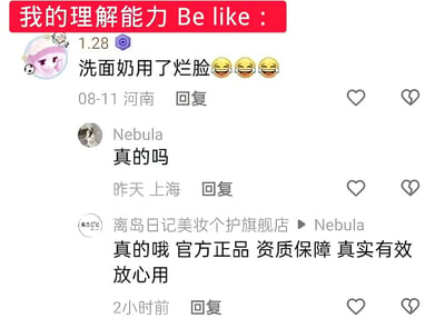 这是一张中文社交媒体评论区截图，顶部被加上红底白字标题“我的理解能力 Be like：”。第一条评论来自用户“1.28”，地点显示河南，时间为08-11，内容是“洗面奶用了烂脸😂😂😂”。这里的“烂脸”是网络用语，通常指使用护肤品后皮肤出现严重过敏、爆痘或受损等负面情况。随后用户“Nebula”在上海追问“真的吗”。最后，“离岛日记美妆个护旗舰店”在2小时前回复：“真的哦 官方正品 资质保障 真实有效 放心用”。客服没有理解“烂脸”是负面反馈，反而用模板化话术肯定“真的”，像是在承认产品真的会导致烂脸，因此产生强烈的荒诞感和喜剧效果。图中没有真实人物出镜，主要视觉元素是头像、文字评论、互动图标和后期添加的红色标题栏。