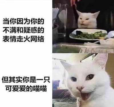 这是一张上下拼接的图文对比梗图，上方是知名表情包“Smudge the Cat”的经典画面：一只白色猫咪端坐在餐桌前，眉头微皱、眼神带着不满与疑惑，配文“当你因为你的不满和疑惑的表情走火网络”；下方是这只猫咪的日常照片，它吐着舌头，模样软萌可爱，配文“但其实你是一只可爱爱的喵喵”。图中通过猫咪“表情包人设”和真实可爱状态的强烈反差，制造出搞笑又治愈的效果，没有双关或谐音梗，单纯靠反差感带来趣味。