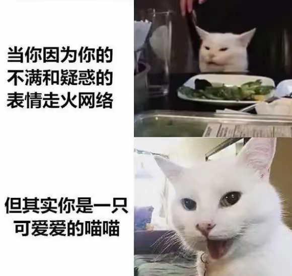 Smudge the Cat