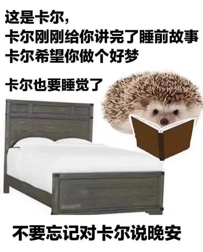 这是一张充满治愈感的图文混排梗图，图中以拟人的方式介绍了名叫卡尔的小刺猬：它刚刚完成了给观众讲睡前故事的任务，即将上床睡觉，配文依次传递了卡尔的行为、对观众的美好祝福，最后引导观众不要忘记对卡尔说晚安。画面右侧是捧着打开的书的小刺猬卡尔，眼神温和、神态乖巧软萌；左侧是一张铺着白色床品的空木床，整体画面和文字共同营造出温暖柔软的睡前氛围，用可爱的小动物形象传递出治愈的情绪，能让观众感受到暖心的睡前陪伴感。