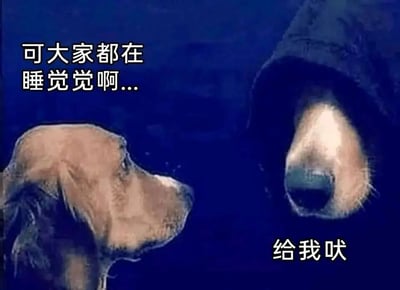 这是一张带有职场隐喻的搞笑动物梗图，画面背景为深蓝色，模拟出深夜的场景。左侧是一只浅棕色小狗，它面露犹豫和为难的神色，抬头看向右侧的狗，配文“可大家都在睡觉觉啊...”，生动表现出它对当前情况的顾虑；右侧是一只仅露出头部、戴着深色罩子的狗，语气强硬地配文“给我吠”，向左侧小狗下达指令。这张图通过动物拟人化的对话，隐喻职场中常见的不合理指令场景：上级不顾实际现状（比如他人正处于休息状态），强行向下属下达违背常理的要求，下属虽有顾虑却不得不面对这种无奈处境，用幽默的方式引发打工人的共鸣，带有讽刺和调侃的意味。