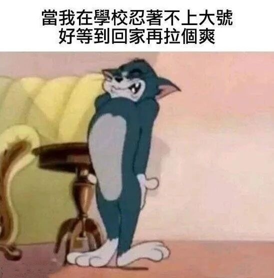 猫和老鼠
