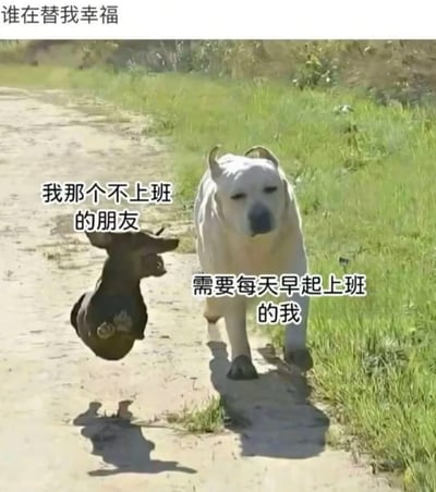 这是一张精准戳中当代打工人情绪的合成梗图，图片顶部配有文字“谁在替我幸福”，点明核心情绪。画面中，左侧被标注为“我那个不上班的朋友”的小黑狗，以四脚朝天的姿态开心蹦跳，状态自在又兴奋；右侧被标注为“需要每天早起上班的我”的大白狗，耷拉着脑袋，脚步沉重地缓慢前行，满脸疲惫无神。通过两只狗狗截然不同的状态对比，生动具象地表现出打工人看到无需上班的朋友时，内心的羡慕感与对自身职场生活的无奈吐槽，引发众多职场人的情绪共鸣。