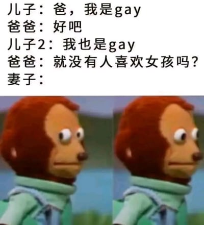 图片上半部分为家庭对话文字：儿子向爸爸坦白自己是gay，爸爸回应“好吧”；接着另一个儿子也说“我也是gay”，爸爸崩溃反问“就没有人喜欢女孩吗？”，妻子的发言则留空。下半部分是两张并排的红色毛发猴子 puppet 图像，puppet 表情惊讶且尴尬，侧身转头望向一侧。通过父子间的对话递进和 puppet 的表情形成幽默对比，展现爸爸面对两个儿子出柜时的无奈与荒诞感。