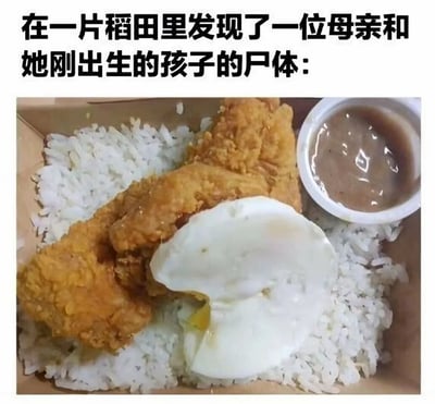 这张梗图上方配有文字'在一片稻田里发现了一位母亲和她刚出生的孩子的尸体:'，下方是一张餐食照片，包含米饭、炸鸡块和一个溏心蛋（蛋黄部分流出）。梗图通过文字与图像的反差制造幽默效果——文字描述的'母亲和孩子'实际上指的是餐食中的鸡蛋（母亲）和蛋黄（孩子），利用隐喻和视觉错位引发笑点。