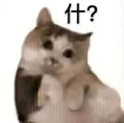 这是一张用于表达情绪的文字加注类猫咪表情包，图中的猫咪为白棕相间的花色，身体呈现出模糊抖动的效果，眼睛睁大，露出困惑不解又带着震惊的神态，同时它的一只爪子抬起，仿佛在表达自己的错愕。图片右上角配有黑色的“什？”字样，是中文“什么？”的简写，简洁直接地强化了猫咪所传递的疑惑、震惊的情绪，整体画面生动有趣，非常适合在聊天场景中用来表达听到意外消息、无法理解某事时的心情。