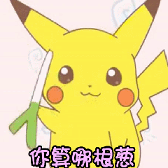 皮卡丘手持大葱问：你算哪根葱