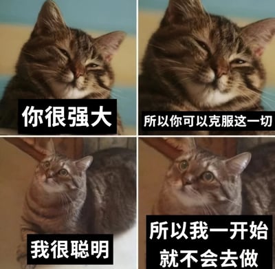 这是一张四格猫咪表情包，通过两组对比鲜明的猫咪照片和文字，幽默地展现了两种不同的人生态度。上半部分两只眯眼微笑的虎斑猫配文“你很强大”和“所以你可以克服这一切”，呈现积极面对困难的态度；下半部分两只抬头凝视的虎斑猫配文“我很聪明”和“所以我一开始就不会去做”，则展现了一种更倾向于避免挑战的幽默视角。