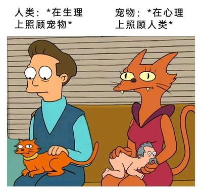 图片上方分左右两侧配有文字，左侧为“人类：*在生理上照顾宠物*”，右侧为“宠物：*在心理上照顾人类*”。下方插画中，左侧人类角色穿着蓝色背心和浅蓝色上衣，抱着一只表情略带不满的橘猫；右侧拟人化橘猫穿着紫色连衣裙，抱着一个头发花白、表情惊讶的人类婴儿。通过角色行为的反转，幽默展现了人类对宠物的生理照顾与宠物对人类的心理慰藉之间的双向关系。