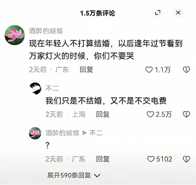社交媒体评论区截图，展示了关于年轻人婚恋观的趣味互动场景。用户“酒醉的蝴蝶”发表观点：“现在年轻人不打算结婚，以后逢年过节看到万家灯火的时候，你们不要哭”，获1.1万点赞；用户“不二”幽默反驳：“我们只是不结婚，又不是不交电费”，点赞量达2.5万；随后“酒醉的蝴蝶”以问号“?”回应，引发5102点赞。评论区共1.5万条评论，展现了网络对婚恋话题的轻松调侃氛围。