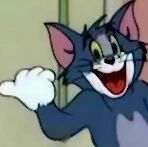猫和老鼠