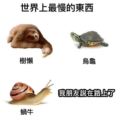 图片以“世界上最慢的东西”为主题，采用白色背景的多图拼接形式。上方居中大字标题为“世界上最慢的東西”，下方分三行展示三种以缓慢著称的动物：左上角是趴着的树懒，下方标注“樹懶”；右上角是爬行的乌龟，下方标注“烏龜”；左下角是移动的蜗牛，下方标注“蝸牛”。最右侧底部则以黑色加粗文字写着“我朋友說在路上了”，通过将朋友迟到的情况与树懒、乌龟、蜗牛这些公认的慢行动物并列，形成幽默调侃的效果，暗指朋友迟到很久。
