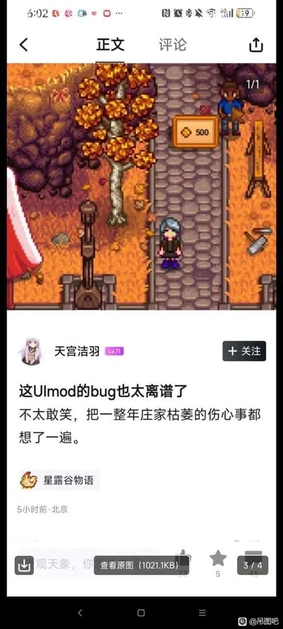 这是一张社交媒体平台的截图，内容是用户“天宫洁羽”分享的《星露谷物语》游戏异常画面与吐槽文字。游戏画面呈现星露谷的秋季场景，道路旁有金黄树叶的秋季树木、石质道路，玩家自定义角色站在路上，一旁的NPC站在一个显示“500”金币的奇怪标识牌旁，这是Ulmod模组引发的离谱bug。用户配文吐槽这个bug太过离谱，甚至让自己联想到一整年庄稼枯萎的伤心事，不敢发笑，字里行间充满了无奈与哭笑不得的情绪，是玩家在游戏中遇到恶性bug后的真实情绪表达。