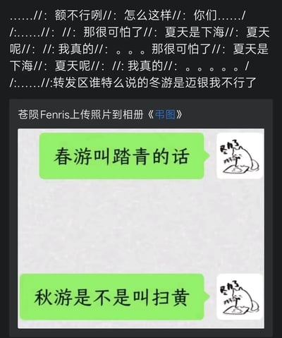 图片为社交平台截图，上方是碎片化的网友评论，包含“额不行咧”“转发区谁特么说的冬游是迈银我不行了”等激动语气的文字。中间显示“苍陨Fenris上传照片到相册《串图》”，下方是两张带绿色对话框的图片，左侧对话框写“春游叫踏青的话”，右侧写“秋游是不是叫扫黄”，每张图旁都有一只低头吃饭的卡通猫插图。图片通过谐音梗制造幽默，将“秋游”与“扫黄”（原指打击色情活动）联系，形成反差笑点。