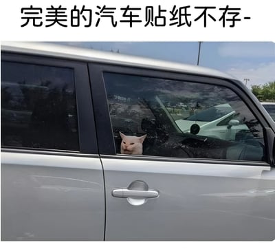 一张银色汽车的侧面照片，车窗内有一只白猫正从车窗探出头往外看。图片上方配有文字'完美的汽车贴纸不存-'，通过猫咪自然探出车窗的姿势制造出它像是一个逼真汽车贴纸的视觉幽默效果。