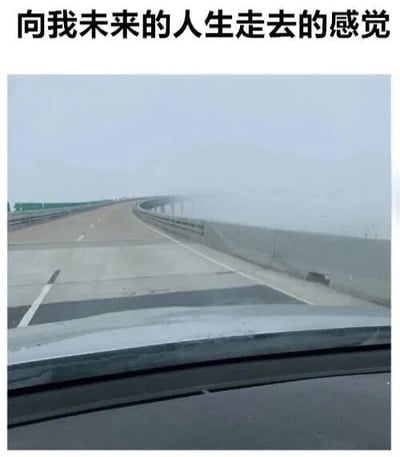 图片上方有文字“向我未来的人生走去的感觉”，下方是一张从汽车视角拍摄的高速公路照片。公路向前延伸，被浓雾笼罩，远处的道路逐渐模糊不清，营造出一种对未来充满未知的氛围。通过将人生道路与被雾遮挡的高速公路类比，表达了对未来不确定性的感慨。