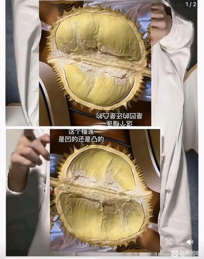 这是一张趣味视觉错觉类网络梗图，采用上下拼接的结构：上方的榴莲图片被倒置摆放，下方的榴莲为正常摆放，两张图展示的是同一个被对半切开的榴莲，配文提问“这个榴莲是凹的还是凸的”，利用视觉错觉让观看者很难直接判断榴莲果肉的凹凸状态。图中还露出了穿着白色衣物的人的手臂与手部，右上角标注“1/2”说明这是系列组图的第一张，右下角带有百度贴吧“吊图吧”的水印。