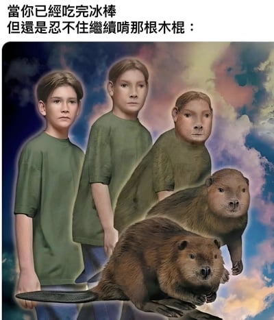 这张梗图通过四幅图像展示了一个幽默的进化过程：从人类男孩逐渐转变为海狸。图片上方配有文字"當你已經吃完冰棒但還是忍不住繼續啃那根木棍："，用拟人化的方式调侃人们吃完冰棒后仍不自觉啃咬木棍的行为，将这种行为幽默地比作海狸啃木头的本能。背景采用了多彩的云彩效果，增强了画面的戏剧性和幽默感。