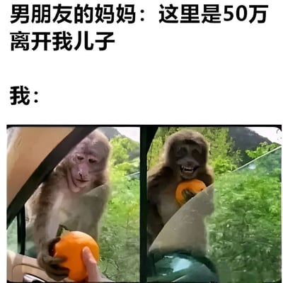 图片上方文字为“男朋友的妈妈：这里是50万 离开我儿子”和“我：”，下方是两张并排的猴子图片。左侧猴子从车窗处平静地接过一只橘子，右侧猴子则抱着橘子咧嘴大笑，露出得意的表情。通过猴子接橘子和得意的神态，幽默地表现了面对“50万离开男友”要求时欣然接受的反应。