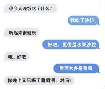 这是一张搞笑聊天记录截图，展示了两位匿名聊天者的对话：聊天方A询问对方晚饭吃了什么，聊天方B回答吃了沙拉，随后补充是大多由葡萄组成的水果沙拉，聊天方A立刻反应过来，点破对方其实晚上只喝了葡萄酒，利用葡萄制作葡萄酒的逻辑形成搞笑梗，调侃对方以吃沙拉为名实则只喝葡萄酒当晚饭。