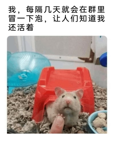 这是一张图文结合的趣味表情包，上方配有文字“我，每隔几天就会在群里冒一下泡，让人们知道我还活着”，下方实拍画面中，一只浅米色仓鼠从红色塑料小窝中探出头，眼神茫然呆愣，一只手指轻轻触碰它的前爪，仓鼠的状态与文字内容完美呼应，生动调侃了当代人在微信群、工作群等社交群组中长期潜水，仅偶尔发言刷存在感的社交状态，用可爱的宠物形象让这种日常社交行为显得诙谐有趣。