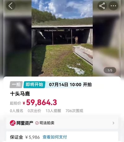 这是阿里资产司法拍卖的页面截图，显示待拍卖的十头马鹿即将于07月14日10:00开拍，起拍价为59864.3元，保证金5986元。当前数据为0人报名、0次出价，13人设置提醒，706次围观。页面上方的实拍图展示了马鹿的饲养场地，其中一头马鹿正站在棚下区域。