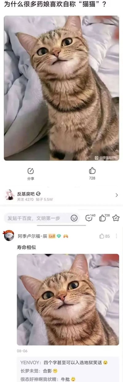 这是一张来自百度贴吧“反基腐吧”的竖屏帖子截图，属于图文混排的社交媒体内容。帖子标题为“为什么很多药娘喜欢自称‘猫猫’？”，并搭配了一张眼神疑惑、抬头看向上方的狸花猫图片，图片右下角带有“@理性反同吧”的水印。帖子的互动数据显示有728个点赞，140条评论。用户“阿季卢尔福-辰”（等级Lv.8）回复“寿命相似”，这条回复获得85个点赞，是核心的恶意调侃内容，属于地狱笑话，暗指长期服用激素的药娘寿命会和猫的平均寿命（约十几年）相近，寿命较短。下方其他评论如“四个字甚至可以入选地狱笑话”“合影”“牛批”也都认可该回复的地狱笑话属性，整个帖子是针对特定群体的恶意网络讨论内容。