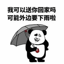 熊猫撑伞送回家梗图