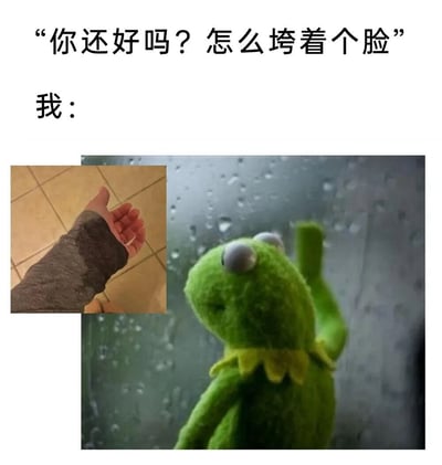 这是一张搞笑共鸣向表情包，上方白色背景配黑色文字，先是呈现他人的提问“你还好吗？怎么垮着个脸”，随后标注“我：”引出下方配图。下方右侧是经典的科米蛙玩偶站在布满水珠的玻璃前的画面，科米蛙神情落寞，仿佛正处在雨中emo；左侧拼接了一张真人手心朝上摊开接水的小图，模拟自己正在淋雨的状态，形象地表现出自己当下情绪低落、状态很差的处境，很容易引发有类似情绪感受的用户的共鸣。