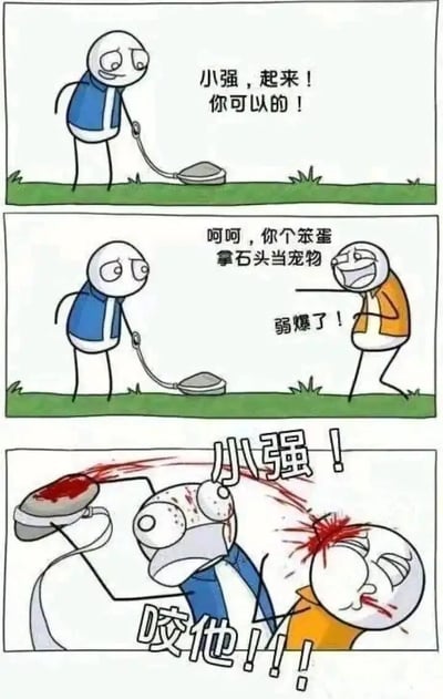 这是一幅三格连环恶搞漫画，第一格中，身着蓝白衣服的卡通角色牵着一块被叫做“小强”的石头，语气充满鼓励地对石头说“小强，起来！你可以的！”；第二格中，身着黄白衣服的卡通角色看到后，嘲讽蓝衣服角色是笨蛋，拿石头当宠物，觉得对方弱爆了；第三格中，被嘲讽的蓝衣服角色愤怒地大喊“小强！咬他！！！”，同时将手中的石头挥出，石头直接砸中黄衣服角色的头部，导致黄衣服角色头破血流，蓝衣服角色也被石头的惯性带得头部受伤，画面充满荒诞的搞笑感，通过将石头当作宠物并让它“咬人”的反转情节制造笑点。