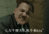图片为电影《帝国的毁灭》中希特勒发怒场景的截图，画面中希特勒面露愤怒表情，正在咆哮。图中添加了恶搞字幕“七万个嫂夫人挨个来biubiu~”，属于“元首之怒”系列鬼畜 meme 的衍生创作，通过幽默化的字幕对严肃历史场景进行解构，营造出戏谑搞笑的效果。