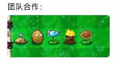 这是一张以塔防游戏《植物大战僵尸》角色为素材制作的团队合作主题梗图，上方配有文字“团队合作：”，下方从左到右依次排列了土豆地雷、坚果、寒冰射手、火炬树桩、向日葵五个游戏角色。这个组合对应游戏里的经典战术搭配：向日葵负责生产阳光提供资源支撑，土豆地雷可在前期对僵尸造成高额伤害，坚果承担阻挡僵尸前进的防御职责，寒冰射手发射冰豌豆减速僵尸，火炬树桩能将冰豌豆转化为伤害更高的火焰豌豆，五个角色各司其职形成完整的战斗链条，用游戏内的协作场景调侃现实中团队合作里每个成员都有不可替代的作用，缺一不可。