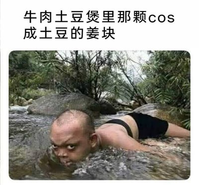 这是一张搞笑二次创作梗图，上方配文“牛肉土豆煲里那颗cos成土豆的姜块”，下方是经过P图改编的照片：将人的头部和拼接的身体放在溪流的石头上，头部浸在水中，营造出一种“藏在汤汁里、伪装成土豆（石头）”的视觉效果，用这个违和又怪异的形象，比喻牛肉土豆煲里混在土豆中的姜块，通过夸张的反差感制造笑点，调侃那种试图伪装自己却显得格格不入的状态。