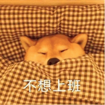 柴犬裹紧被子不想上班表情包
