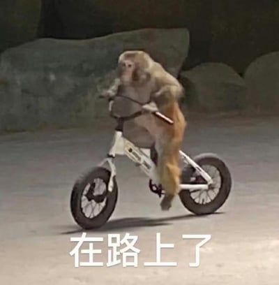 图片中一只猴子正骑着一辆小型白色自行车，背景是模糊的岩石环境，可能是在动物园或动物表演场地。猴子身体微微前倾，双手紧握车把，双腿蹬着脚踏板，姿态显得有些专注。图片底部有一行白色文字“在路上了”，通常用于表示某人或某物已经出发，正前往目的地，结合猴子骑车的场景，形成一种幽默有趣的视觉效果，给人轻松愉快的感觉。